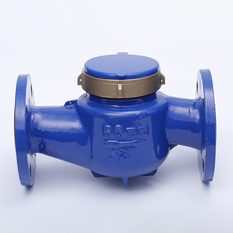 Bagaimana Meteran Air Multi Jet Perumahan 50mm Meningkatkan Efisiensi Pengelolaan Air?